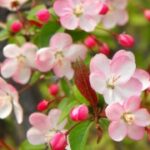 逐梦国际娱乐:追梦路上的娱乐伙伴与支持 p515m46y0a