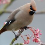 非凡娱乐H5游戏中的社交互动与玩家交流 pbogdn4s