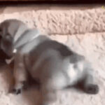 凯旋国际的季节性活动与节庆庆典 qrwt3hitw1