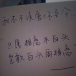 逐梦国际:留学生活中的挑战与成长经历 tnii3w28d