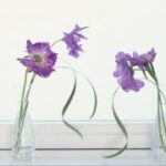 超凡国际:科技创新驱动下的商业变革 wrbc8t5nq